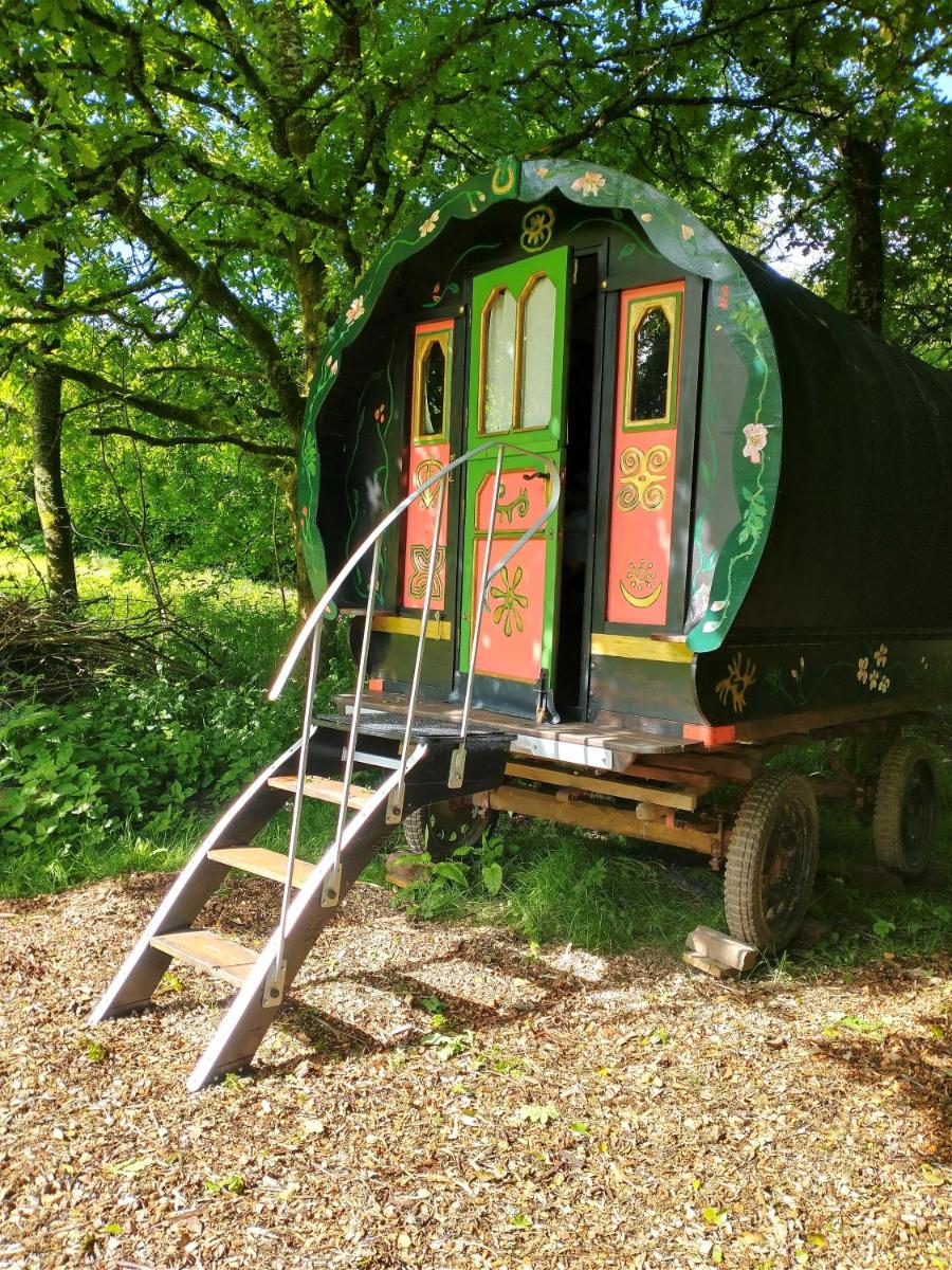 Genuine Gypsy Hut and Glamping Experience - In the Heart of Cornwall - Housity