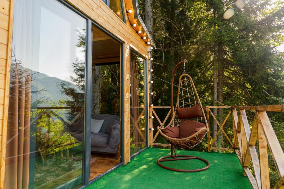 Forest House - Housity