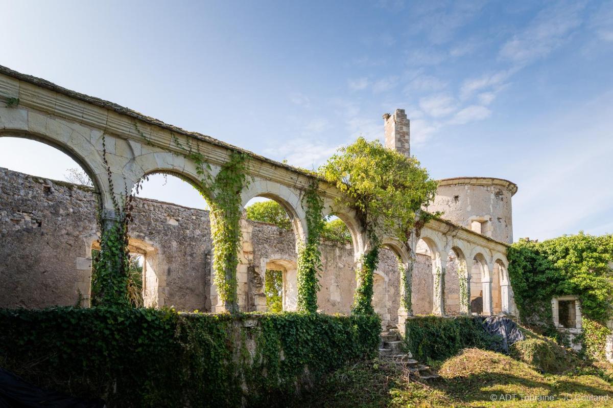 Le vieux château de Hommes - Housity