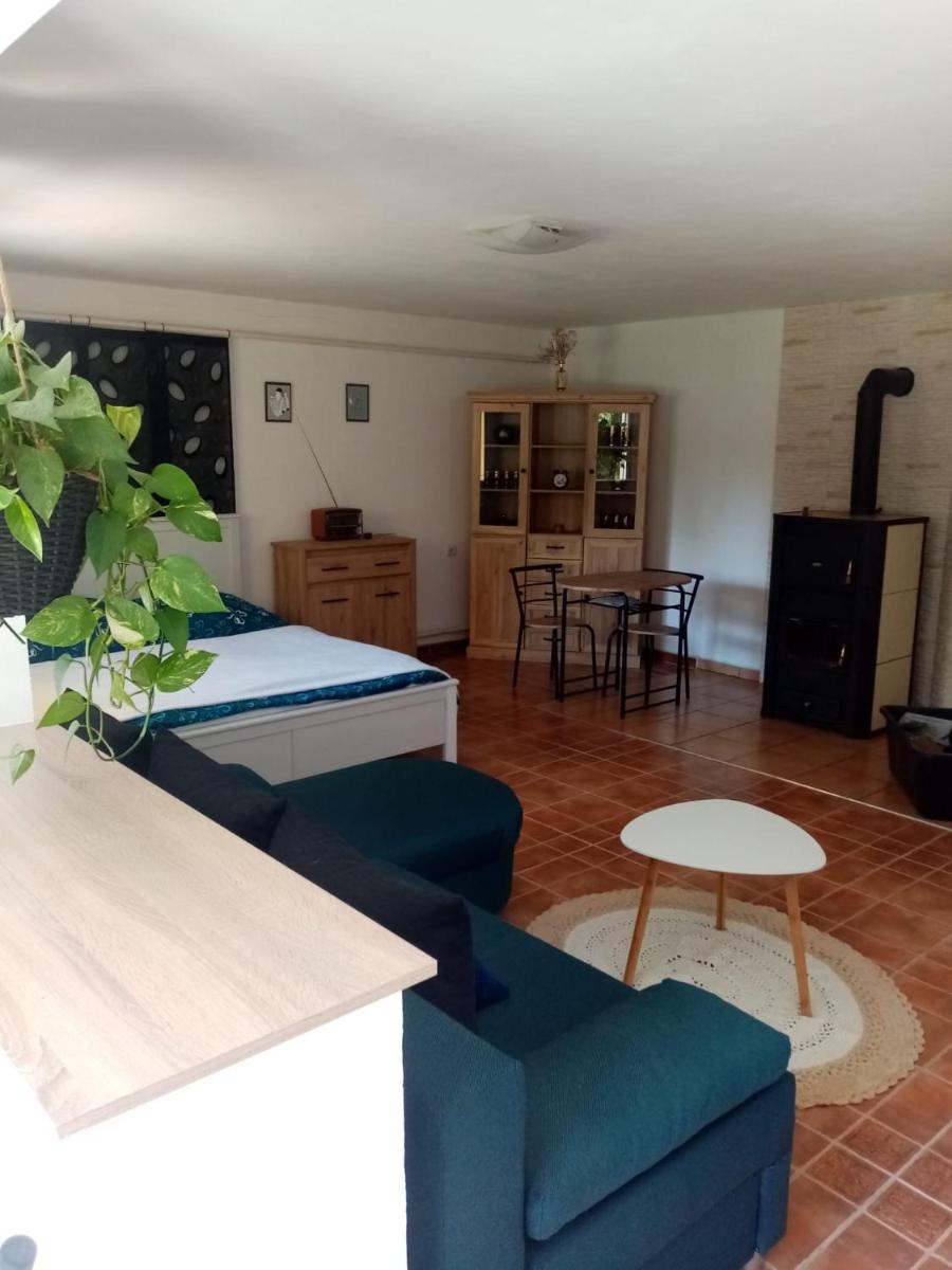 Apartman Ivana - Housity