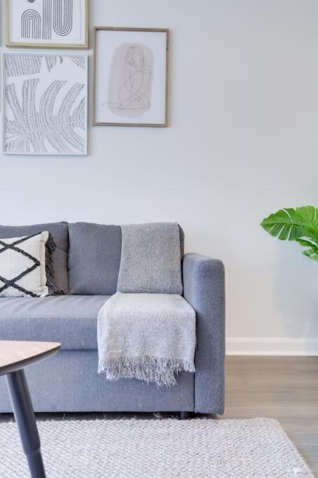 Awesome 1 Bedroom Condo At Ballston Place With Gym - Housity