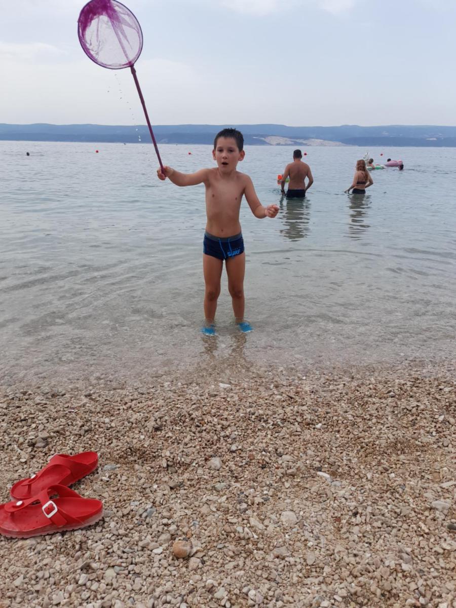 Vigo Apartments Croatia - Housity