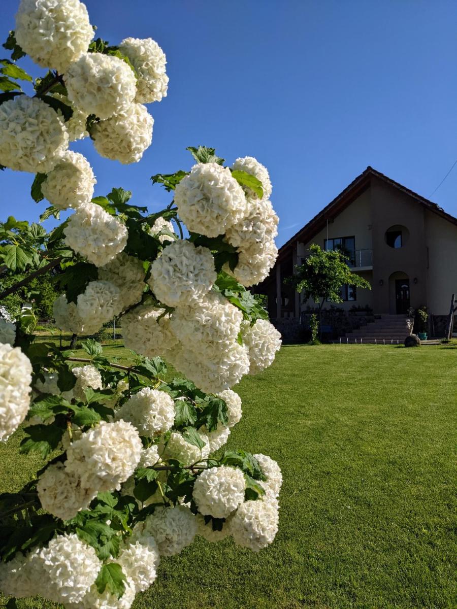 Casa Iulia - Housity