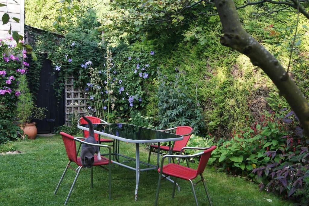 Cozy cottage overlooking fields, Upwell - Housity