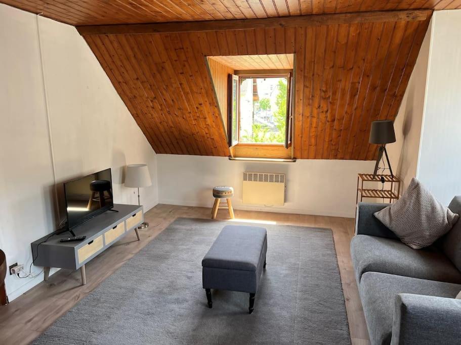 Suitetrails - Top Floor Apartment with Mountain Views in the centre of Argeles Gazost