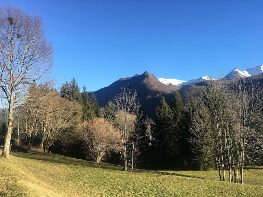 Top Floor Apartment with Mountain Views in the centre of Argeles Gazost - Housity