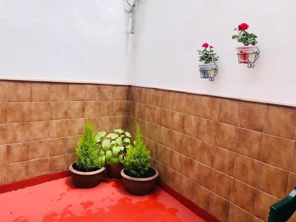 CASA NANO - Housity