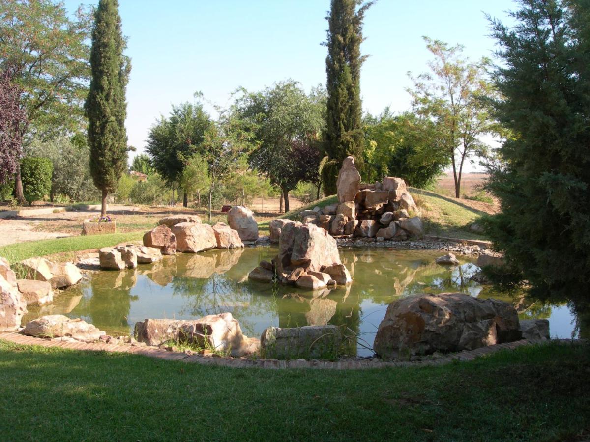 Paisaje cerca de este hotel