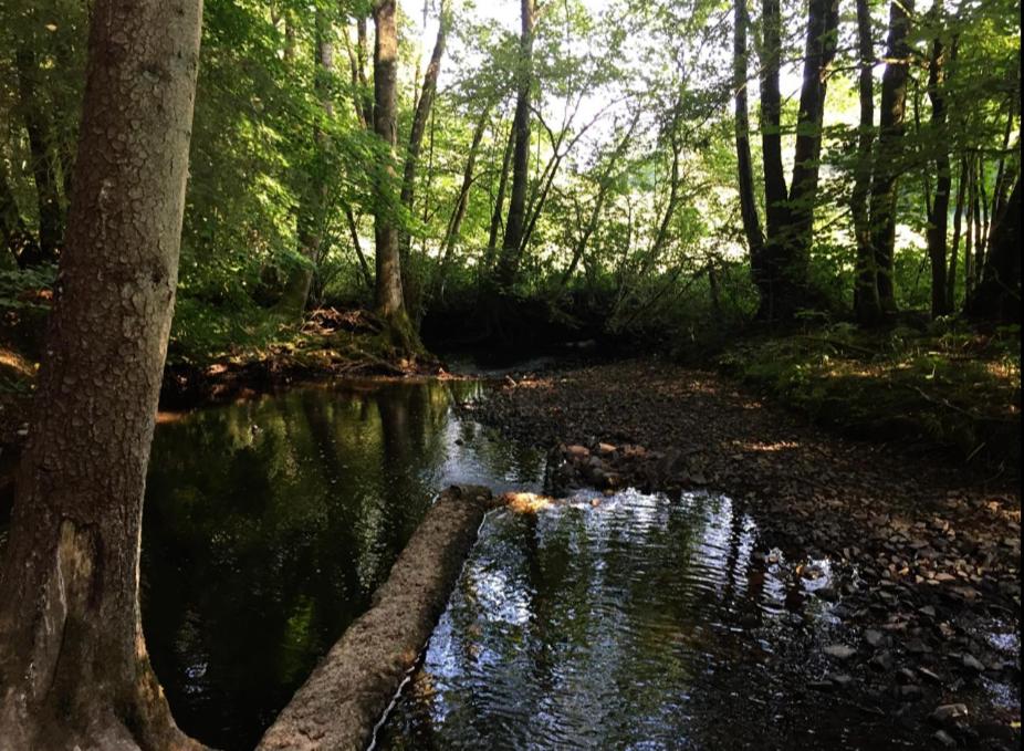 L'heure de la détente Spa privatif - Housity