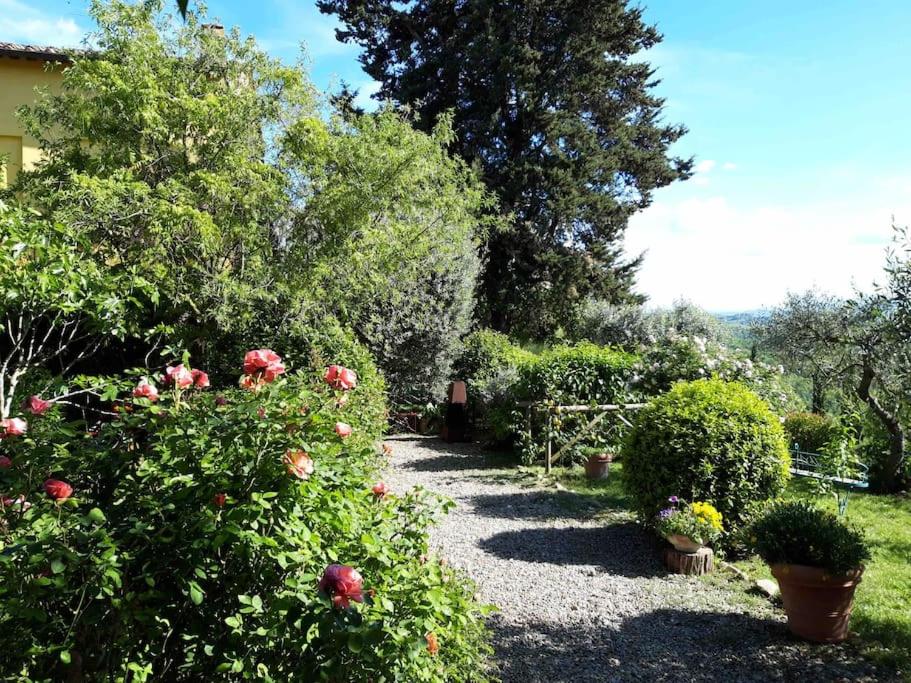 Lovely countryhouse on Chiant hills - Housity
