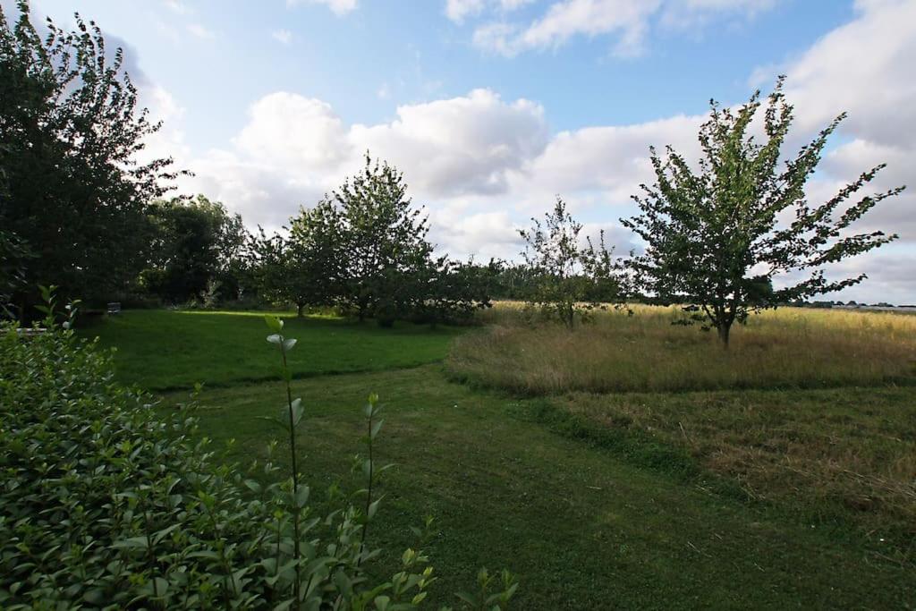 Cozy cottage overlooking fields, Upwell - Housity