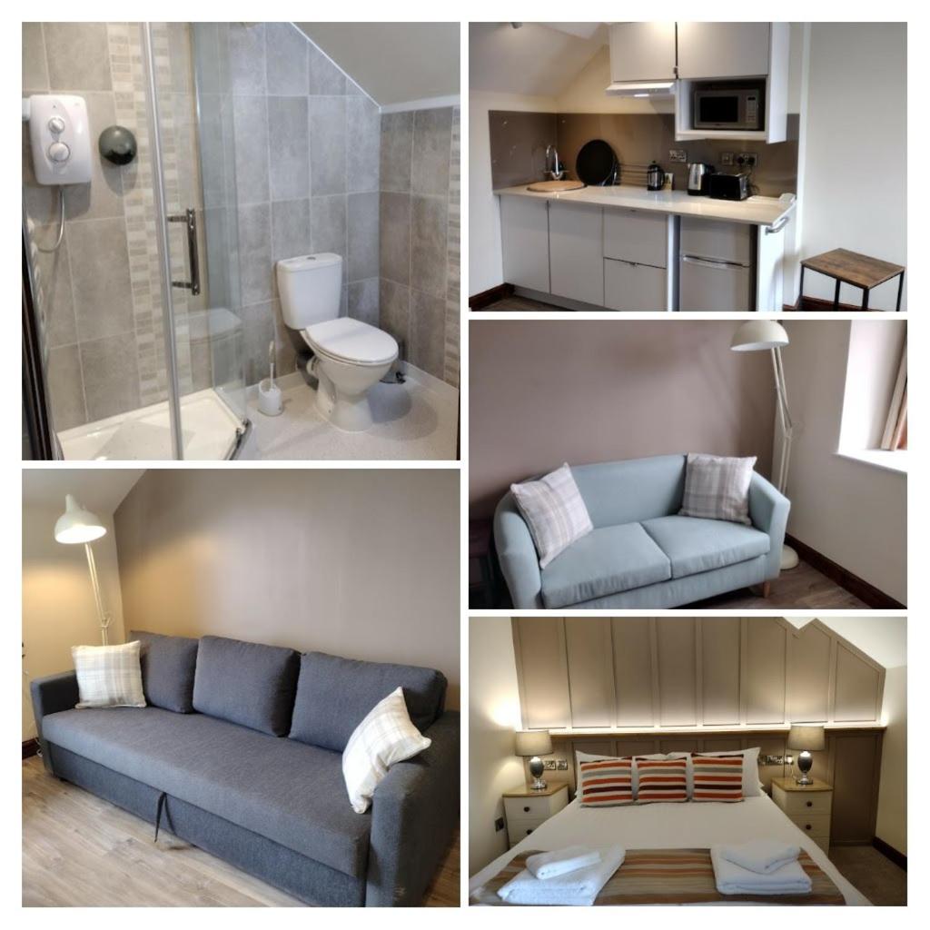 Lion Hotel & Studio Apartments - Housity