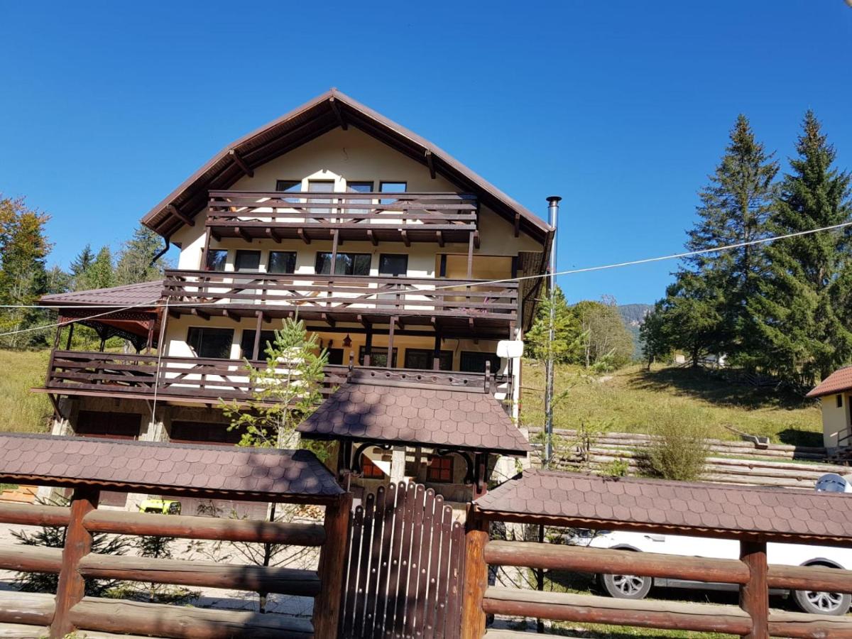 Cheia Valea Stanii - Housity