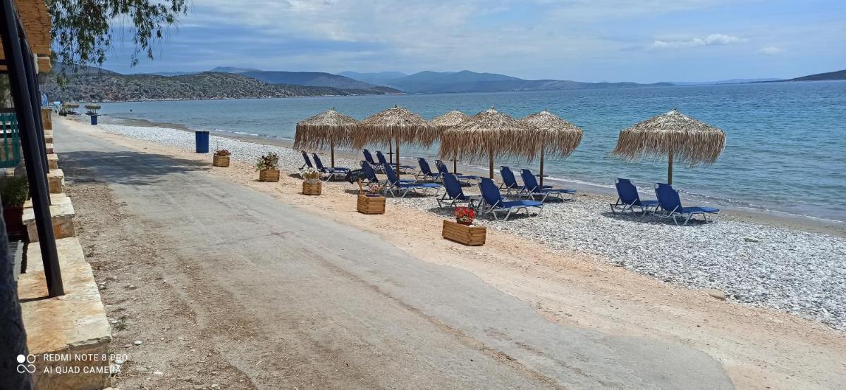 Beach Side Apartments - Housity