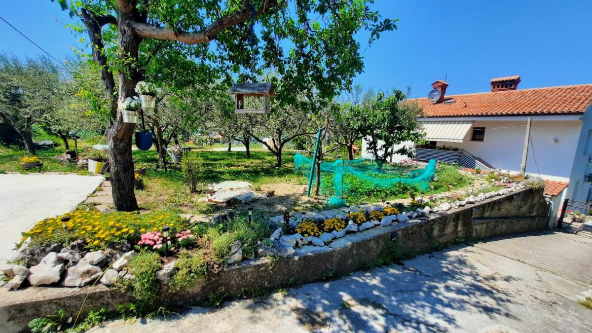 Apartma Bajc - Housity