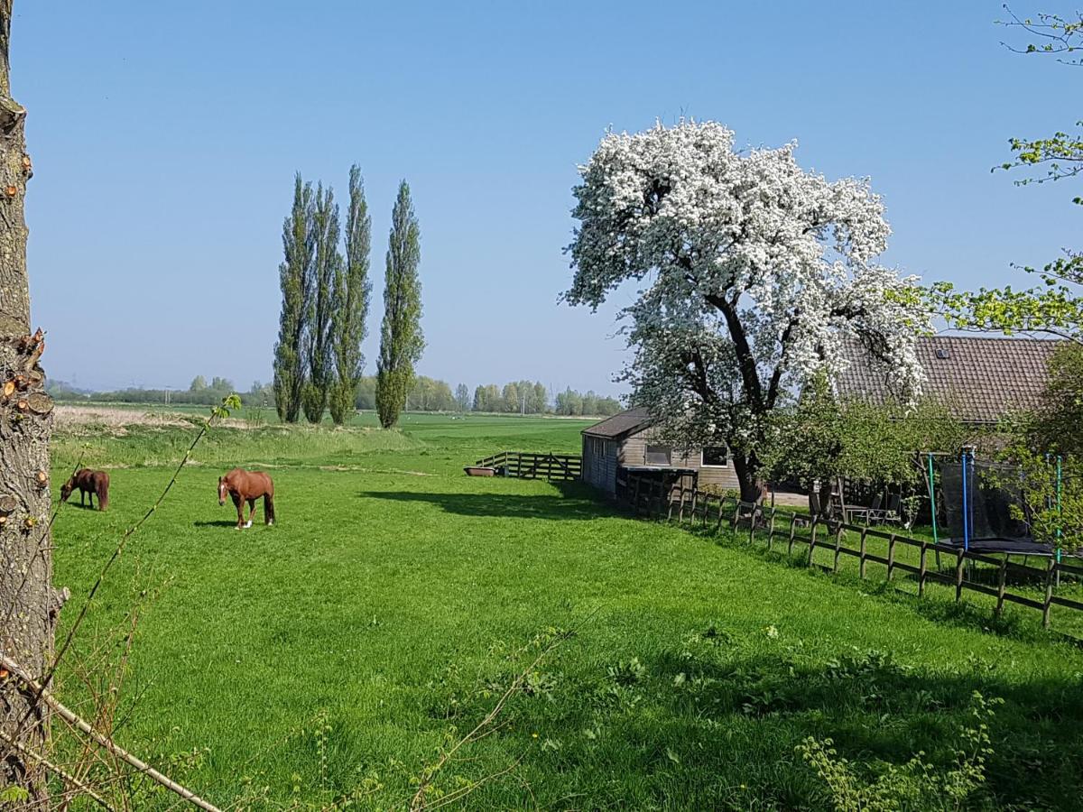 Het Voorhuis boerderij Hoeve Vrede Best - Housity