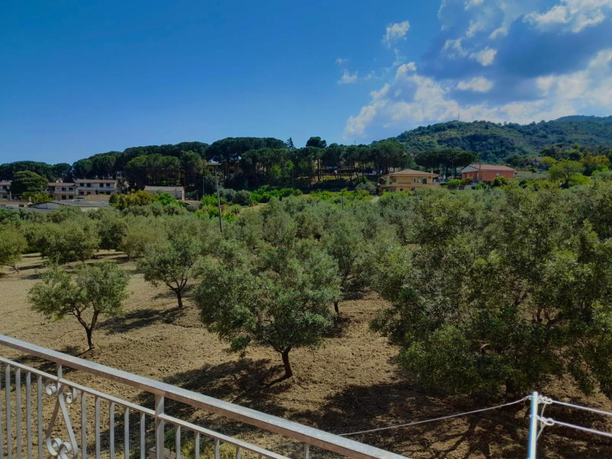 Appartamenti Antico Uliveto - Housity