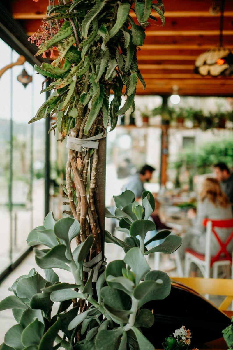 Eco Farm Boutique Hotel - Housity