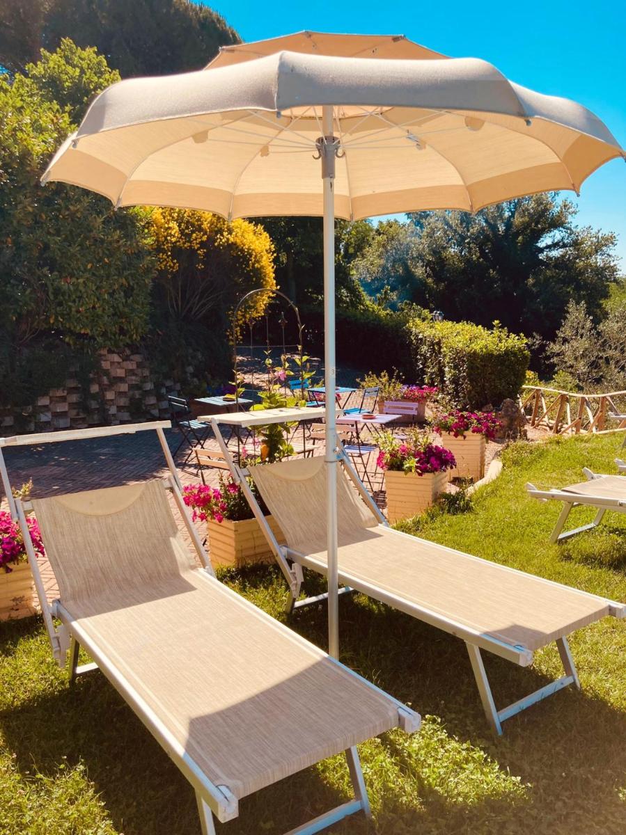 One bedroom appartement with shared pool jacuzzi and furnished terrace at Perugia - Housity