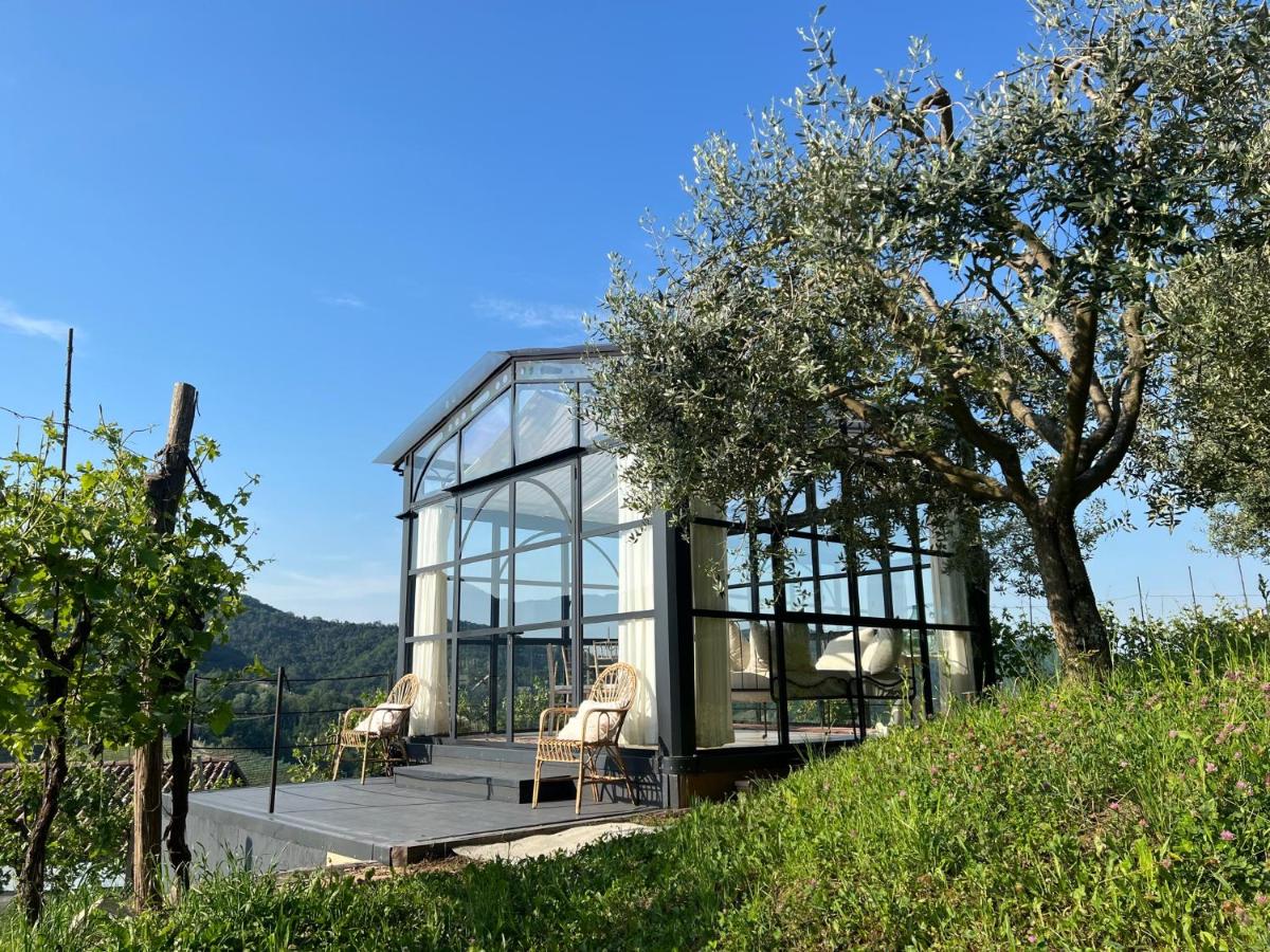 Agriturismo Il Conte Vassallo - Housity