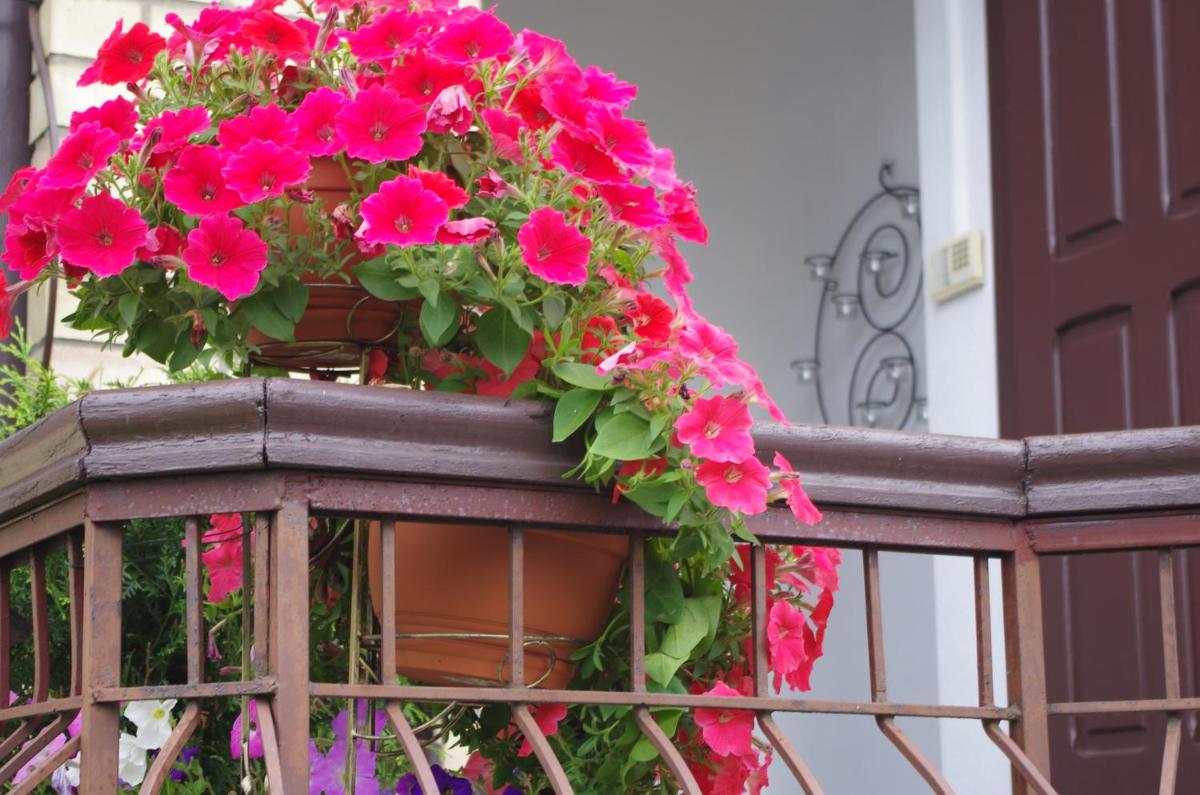 Villand Hotel with Free Private Parking and Self Check In - Housity