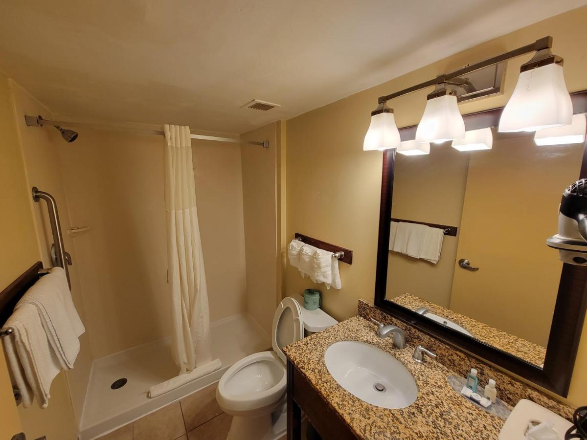 Quality Inn Flamingo - Housity