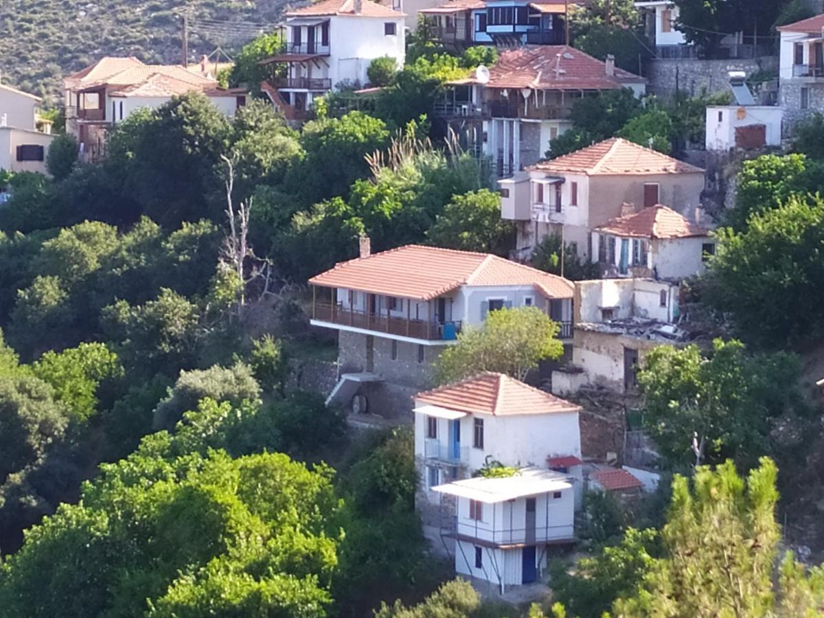 Eden View - Housity