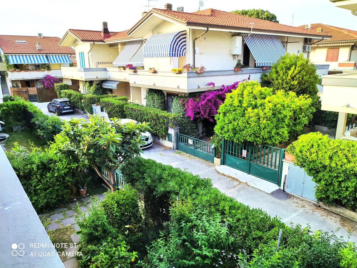 Tra Puccini ed il mare - Housity