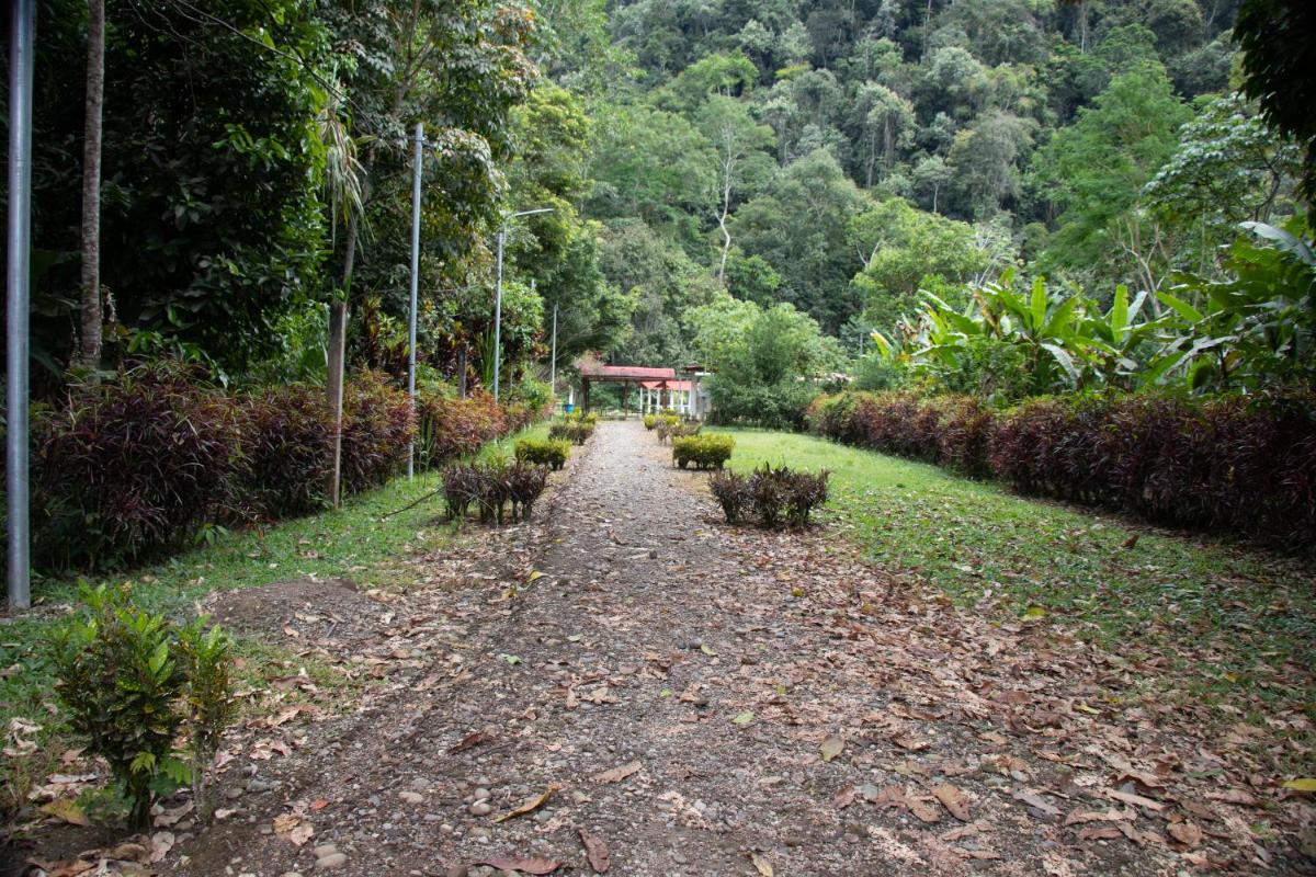 Suitetrails - HOTEL ECOLOGICO VILLA JENNIFER
