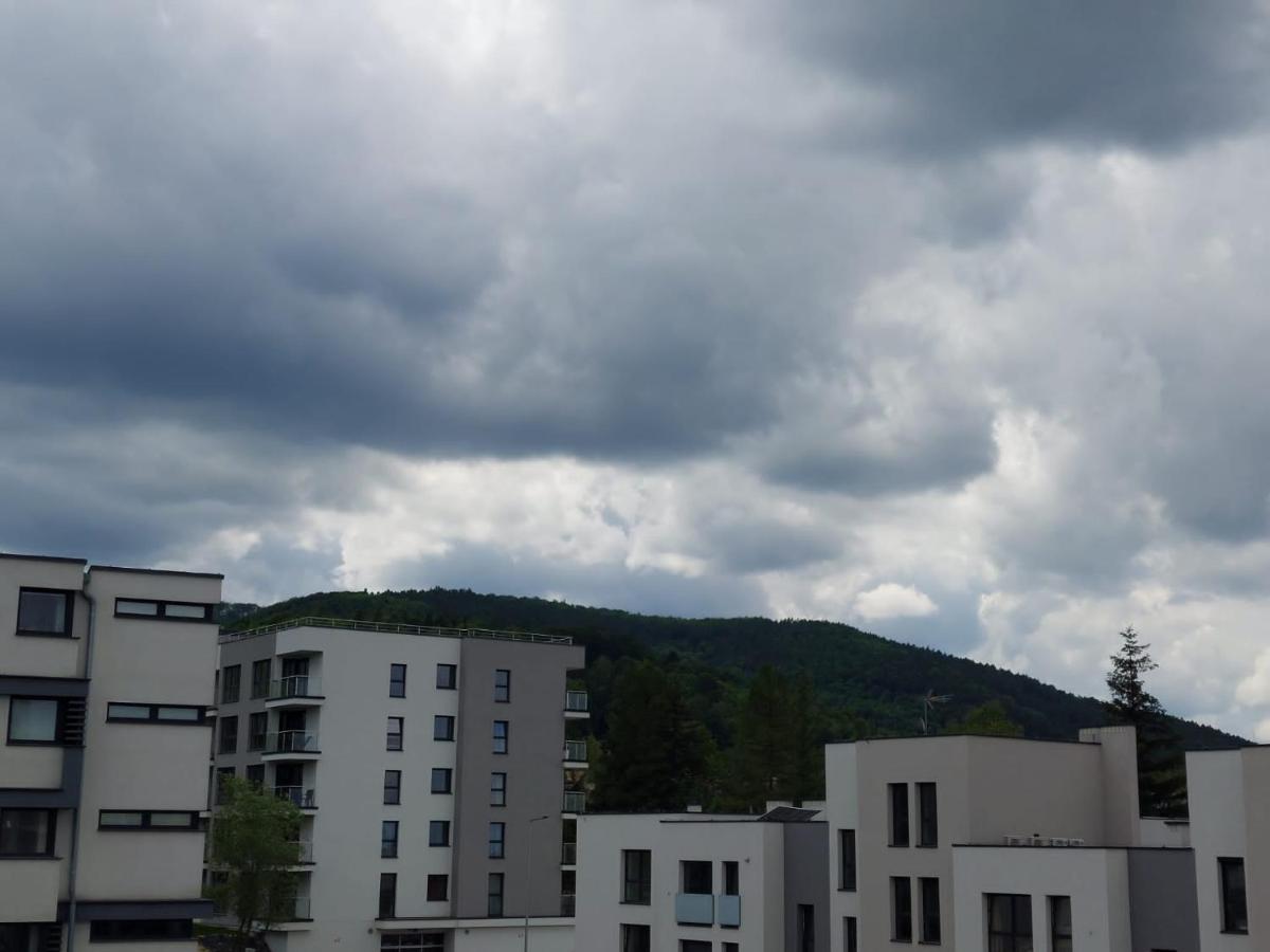 Apartament pod górą Szyndzielnia , Dębowiec - Housity