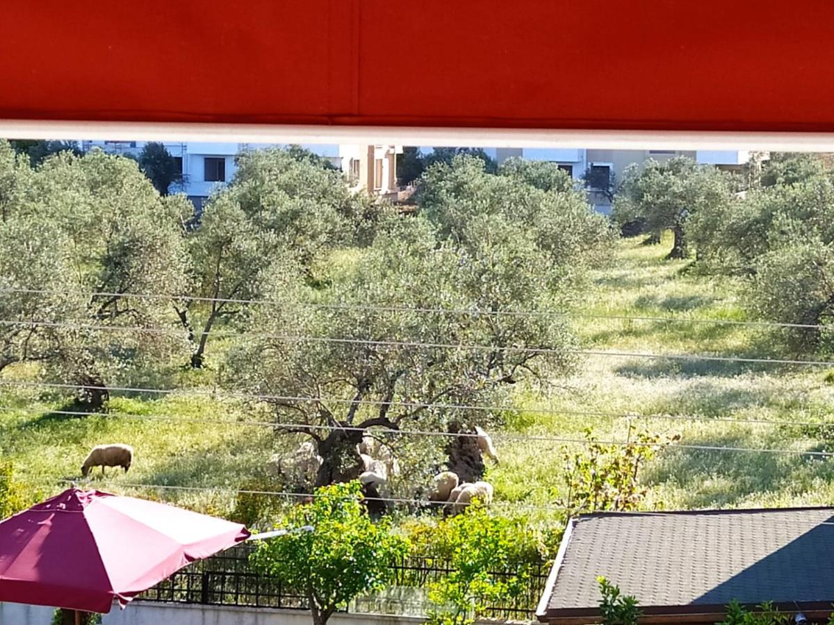 Sultan Evi - Housity