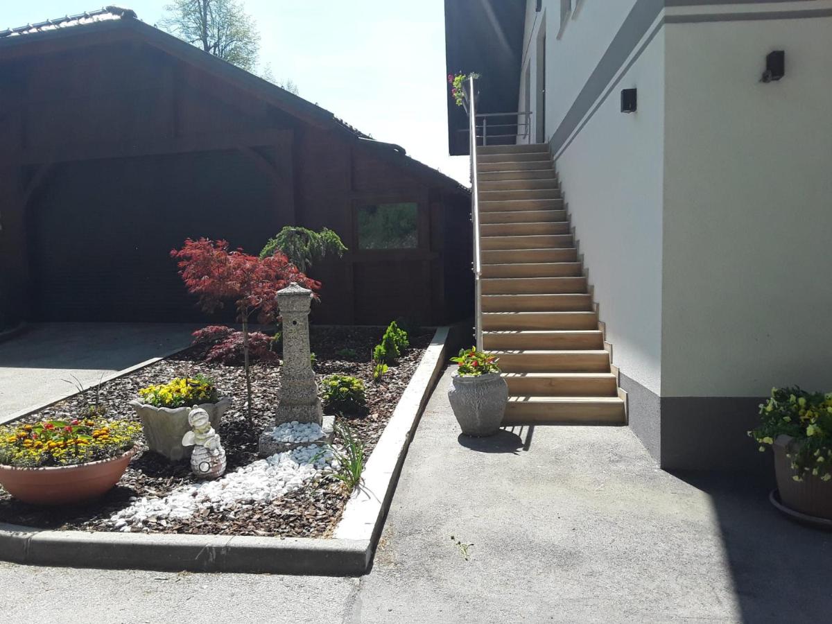 Apartmaji Tisa in Žana - Housity