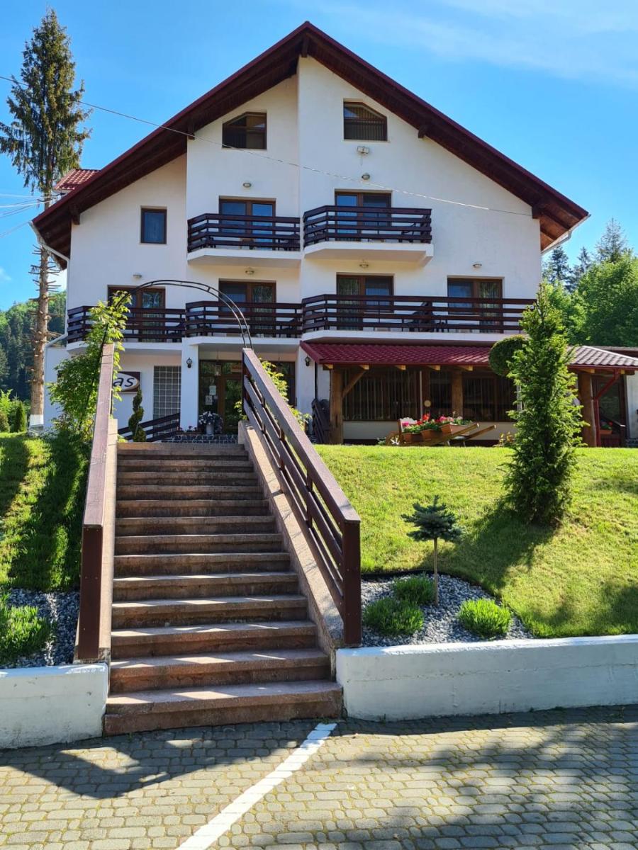 Pensiunea Andias - Housity