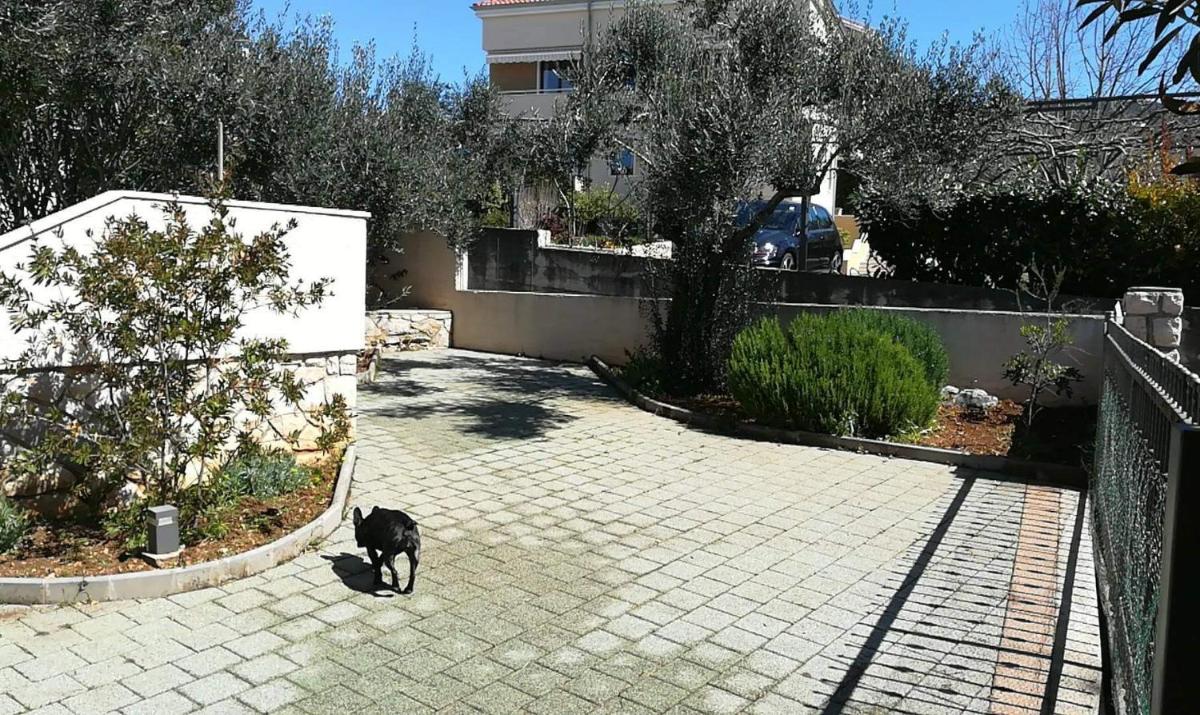 APARTMAN VERA - Housity