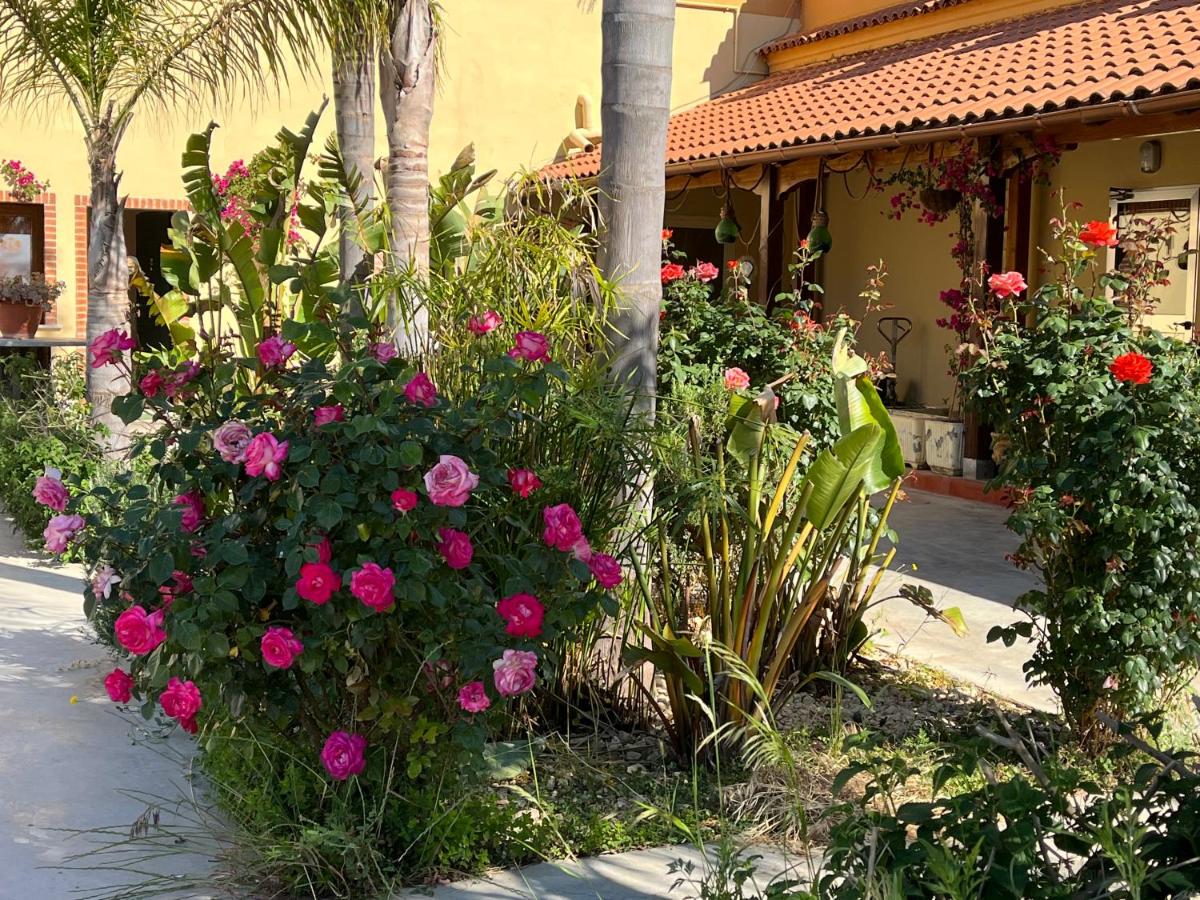 Oasi B&B hotel Restaurant - Housity