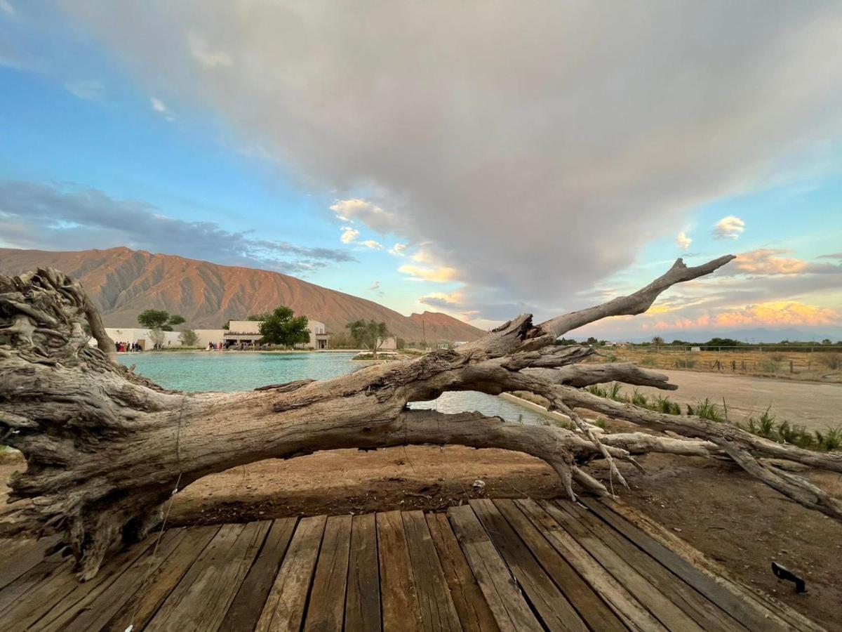 Tierra Maria - Housity