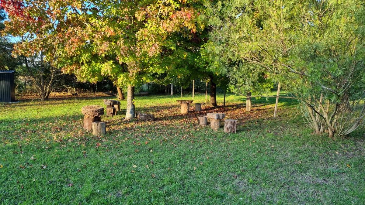 Complejo Containers DF - Housity