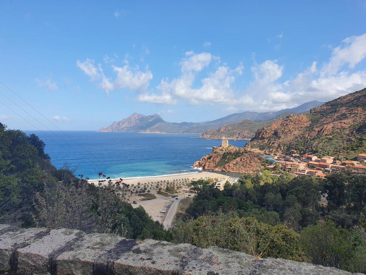 Villa les palmiers -Stretta di i mandarini - Housity