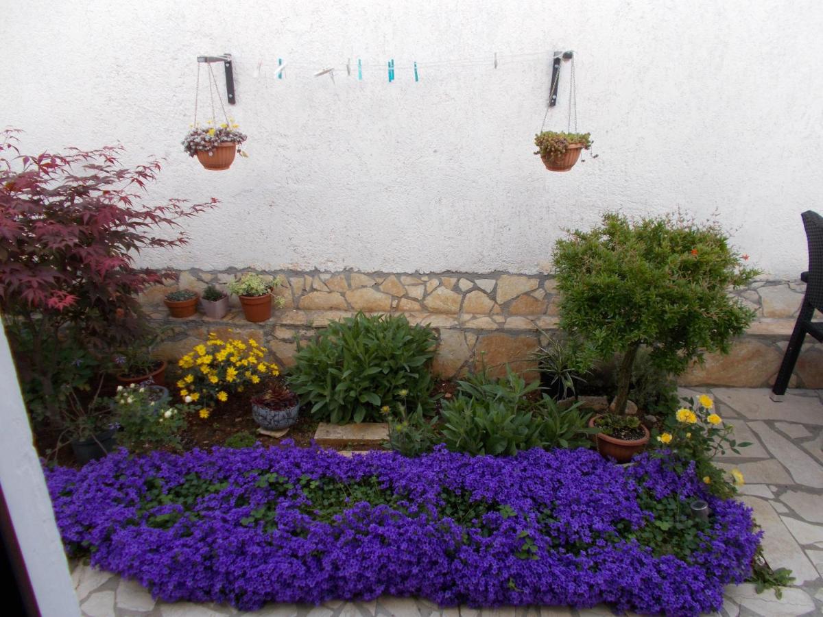 Dragana - Housity