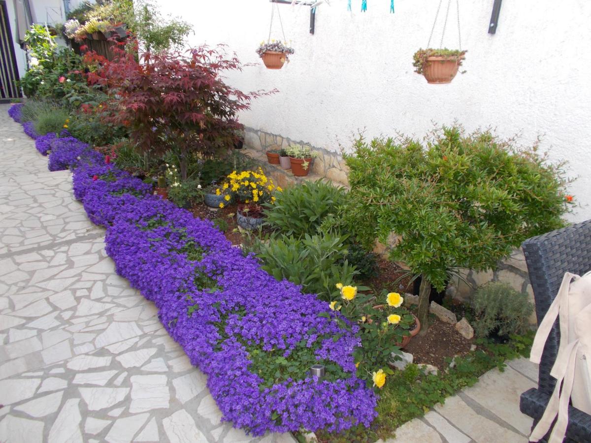 Dragana - Housity