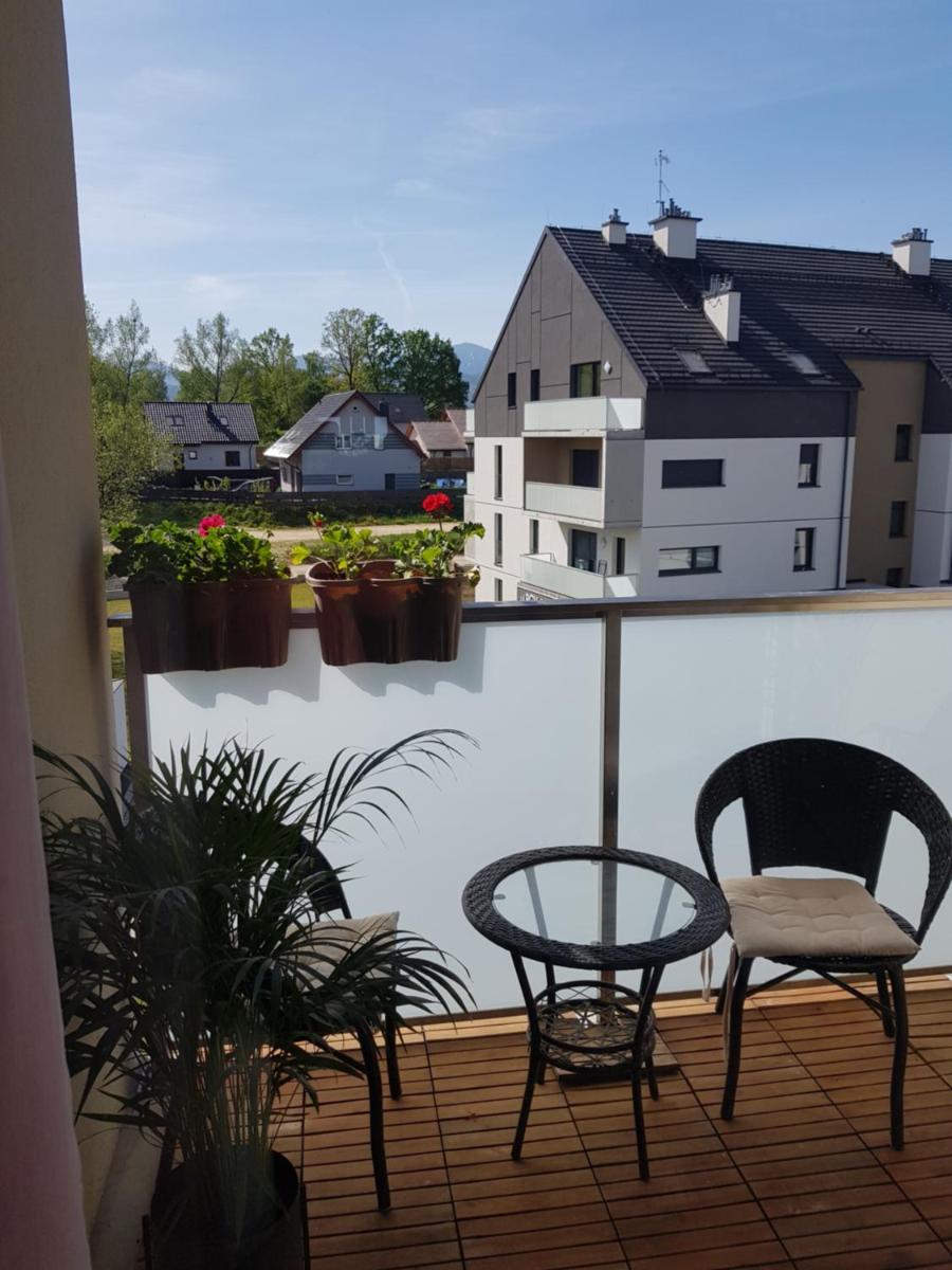 Apartament Kwiat Lotosu - Housity