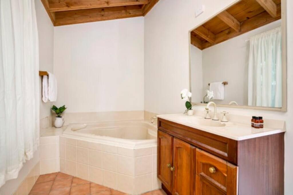 Narrow Neck Lodge - Housity