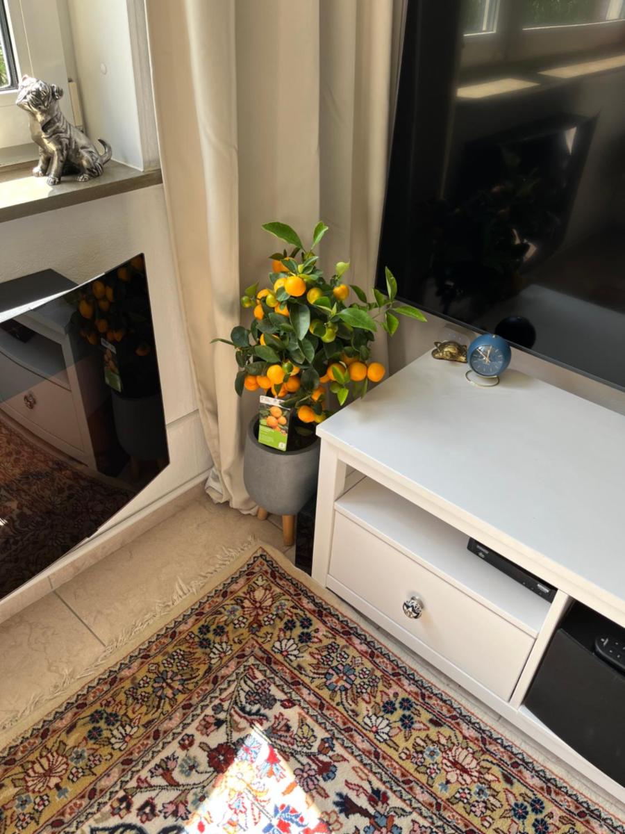 Hannover Messe Apartment - Housity