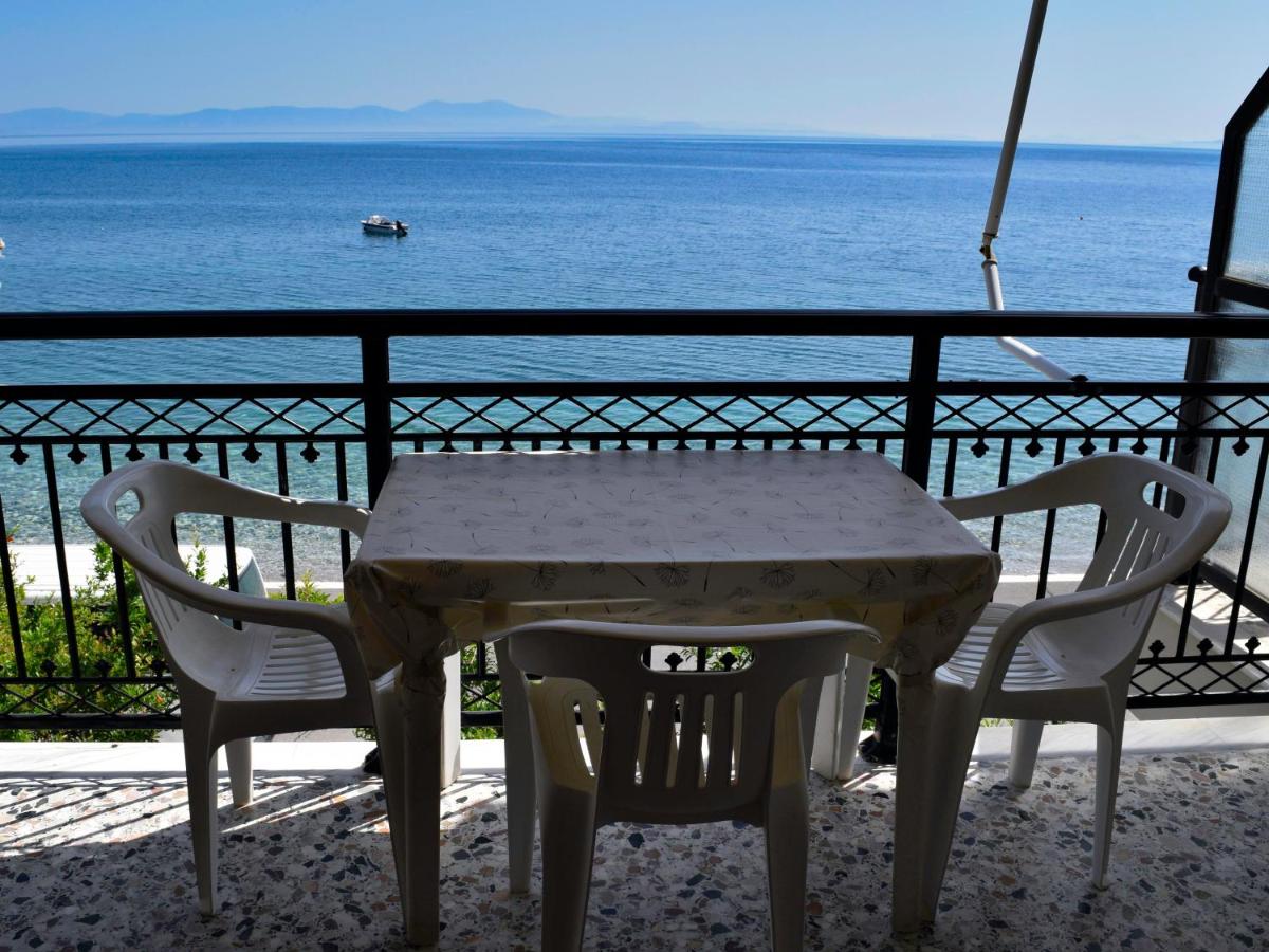Mega Apartments - Housity