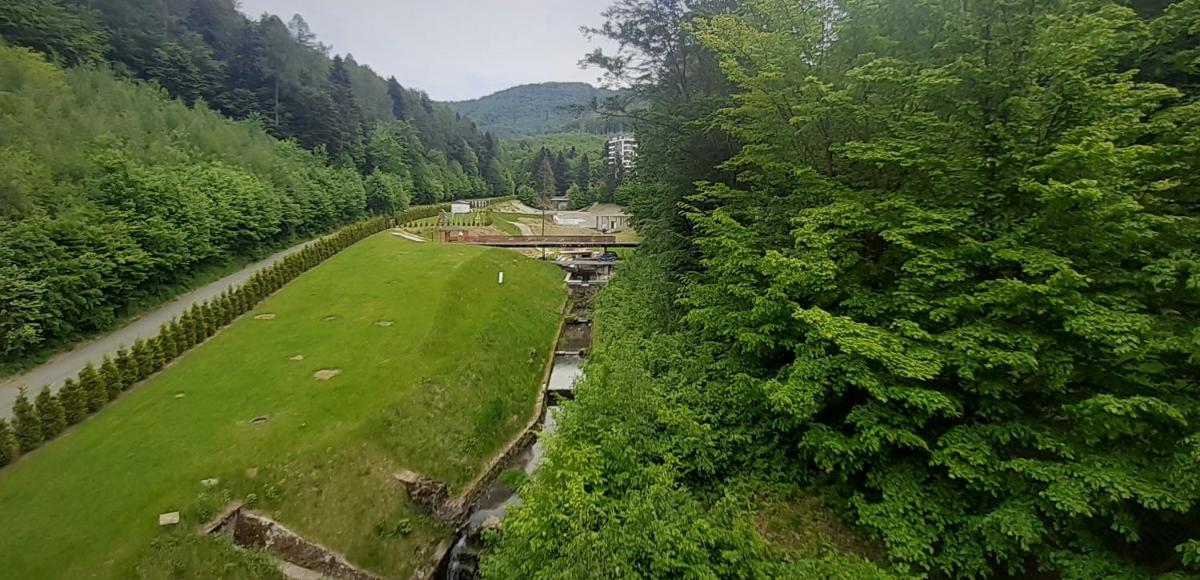 Czarodziejska Góra Kozubnik Daglezja - Housity