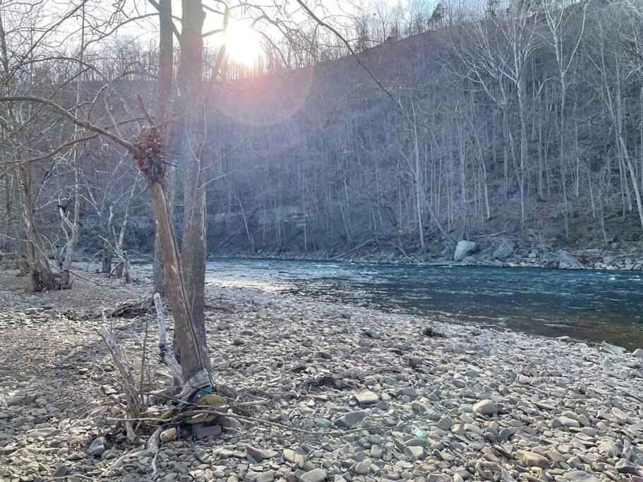 Greenbrier River Hideaway w/ 11 acres of frontage! - Housity