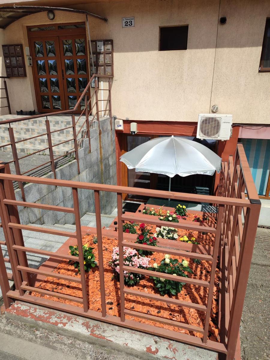 Garsoniera Alex - Housity