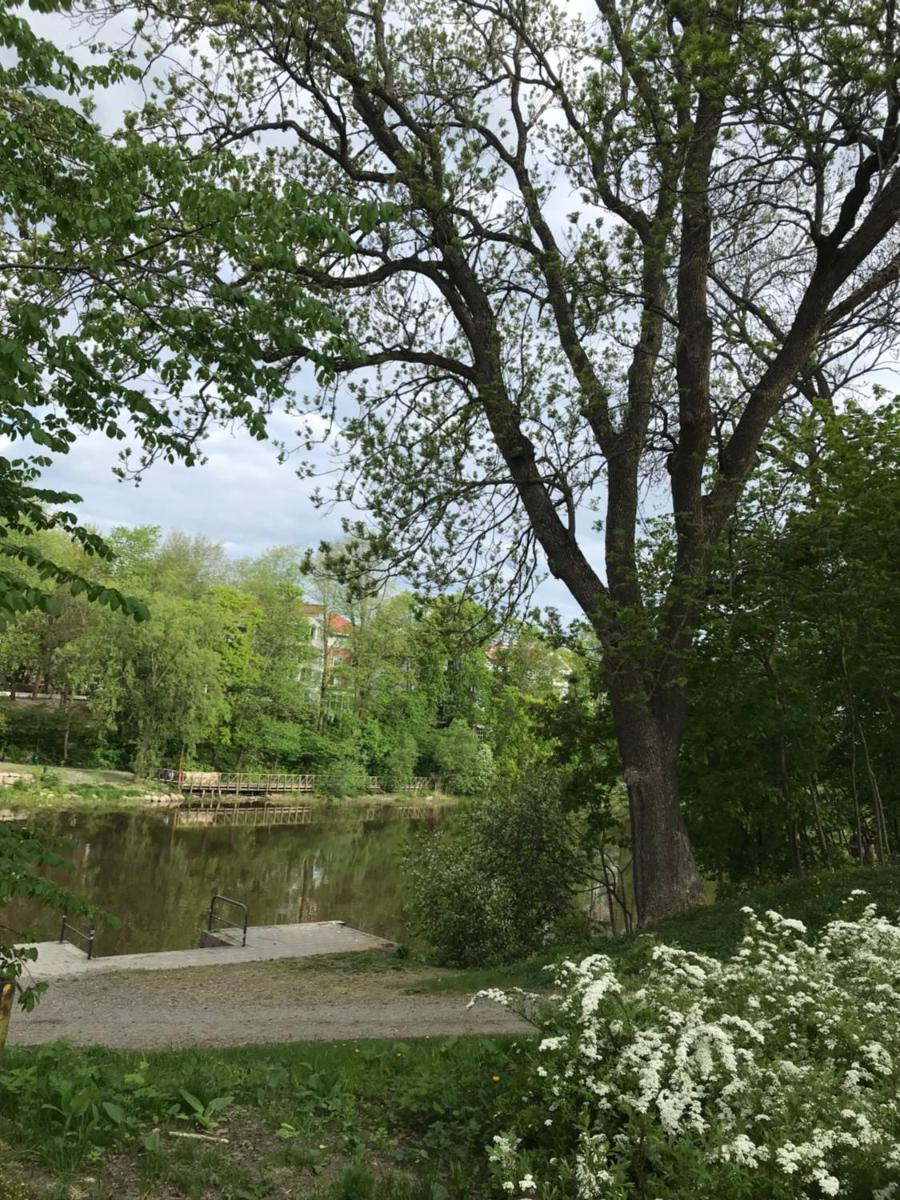 Old Turku Family Apartment - Housity