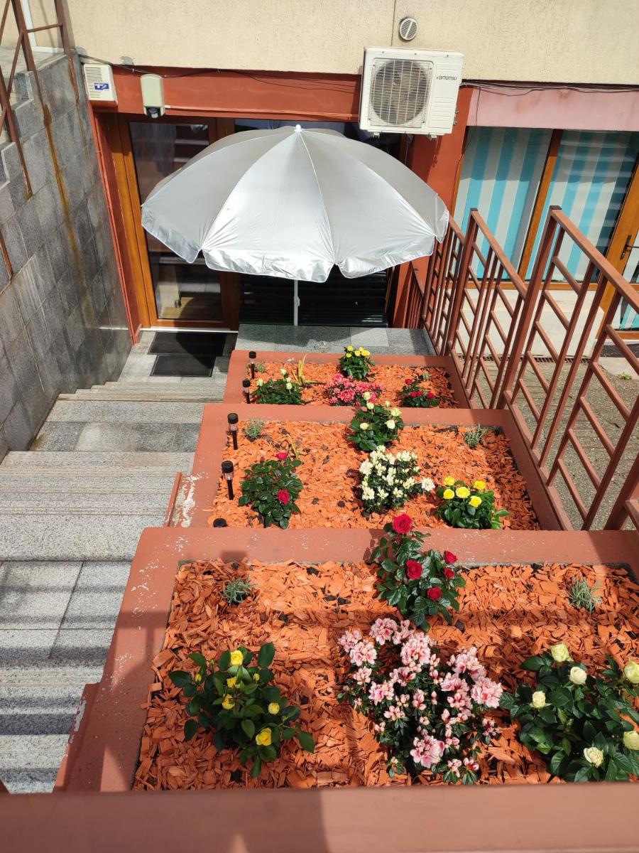 Garsoniera Alex - Housity