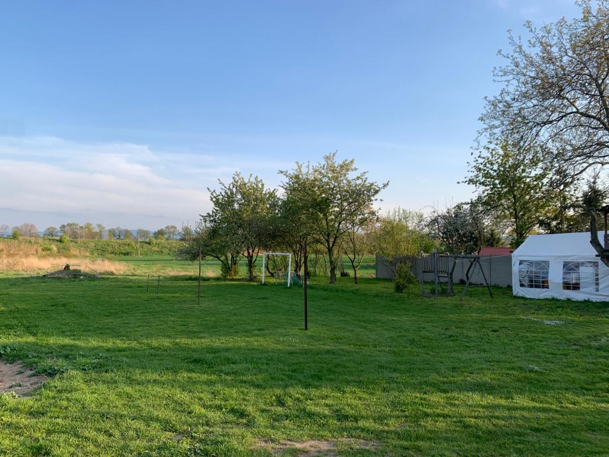 Pokoje gościnne Ścibórz - Housity